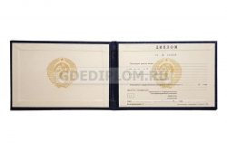 диплом воспитателя техникума ссср